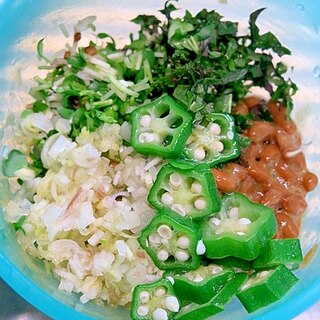 みょうがと夏野菜の納豆〔＃125〕